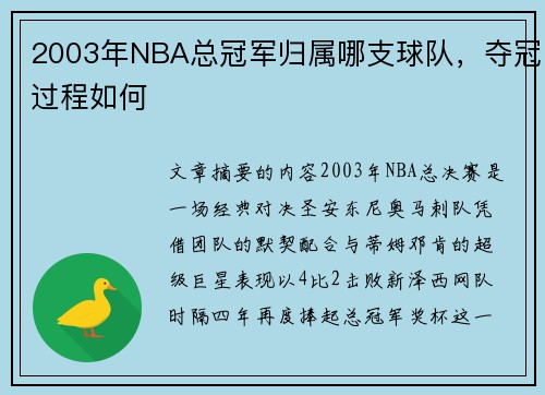 2003年NBA总冠军归属哪支球队，夺冠过程如何